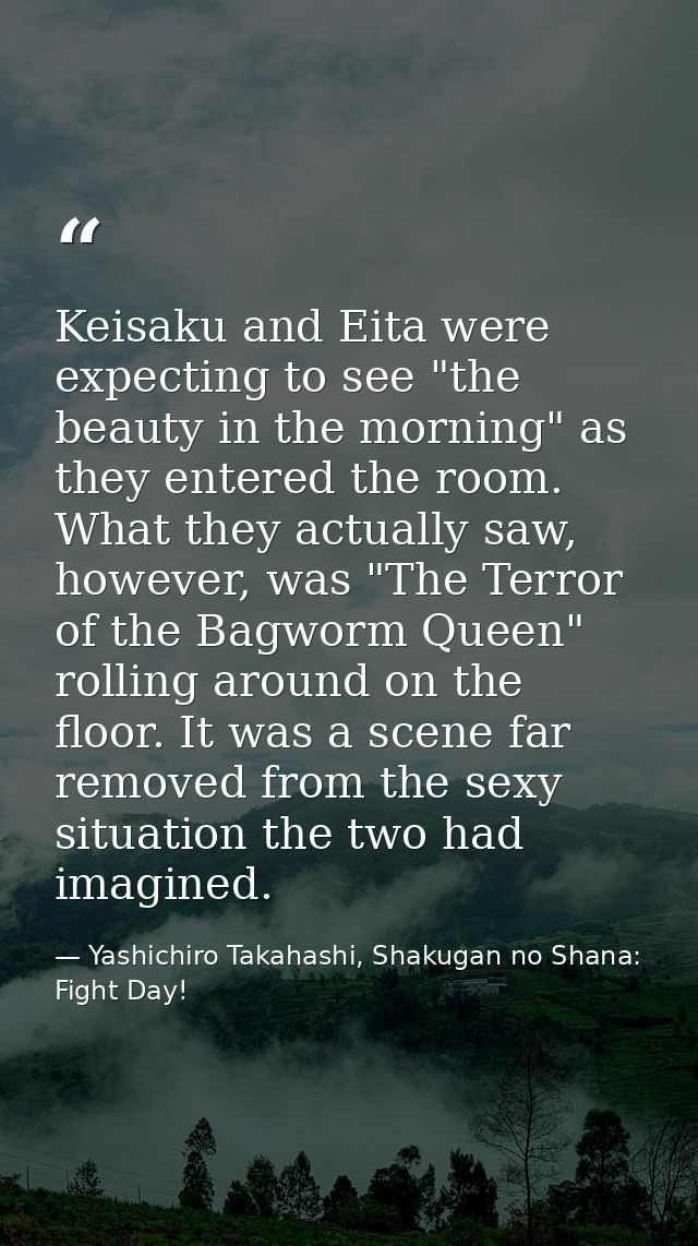 Keisaku and Eita were expecting to see "the beauty in the morning" as they entered the room. What they actually saw, how — Yashichiro Takahashi, Shakugan no Shana: Fight Day!