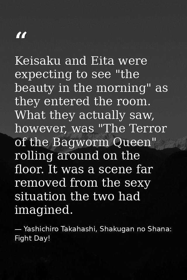 Keisaku and Eita were expecting to see "the beauty in the morning" as they entered the room. What they actually saw, how — Yashichiro Takahashi, Shakugan no Shana: Fight Day!