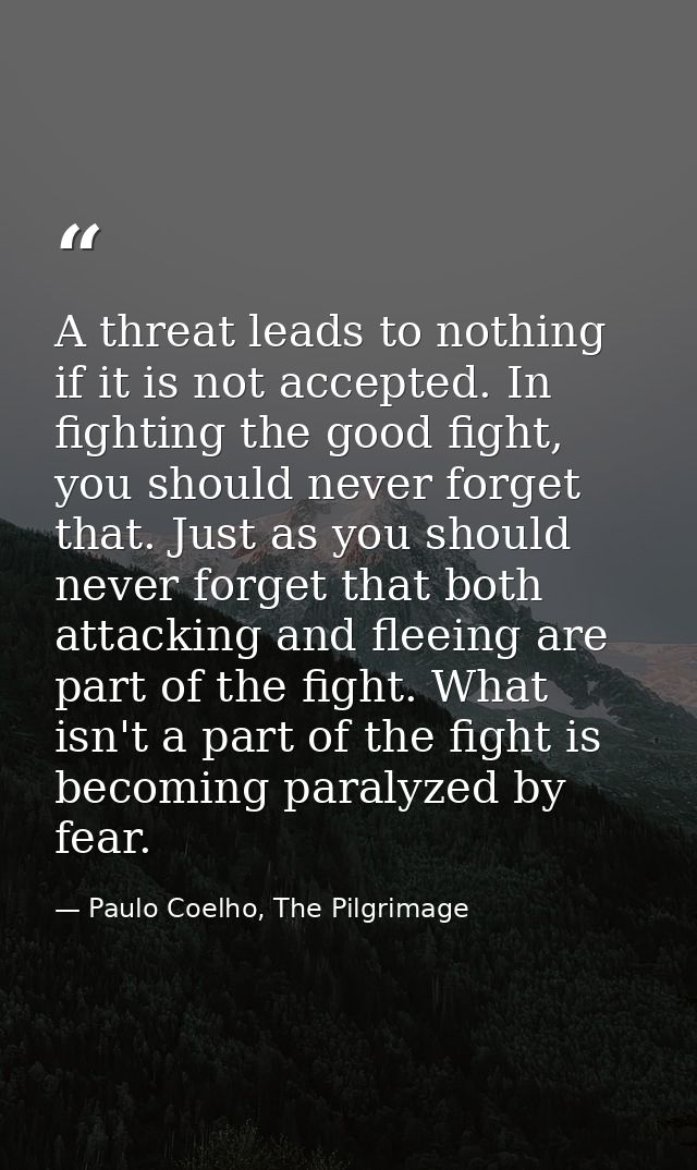 A threat leads to nothing if it is not accepted. In fighting the good fight, you should never forget that. Just as you s — Paulo Coelho, The Pilgrimage