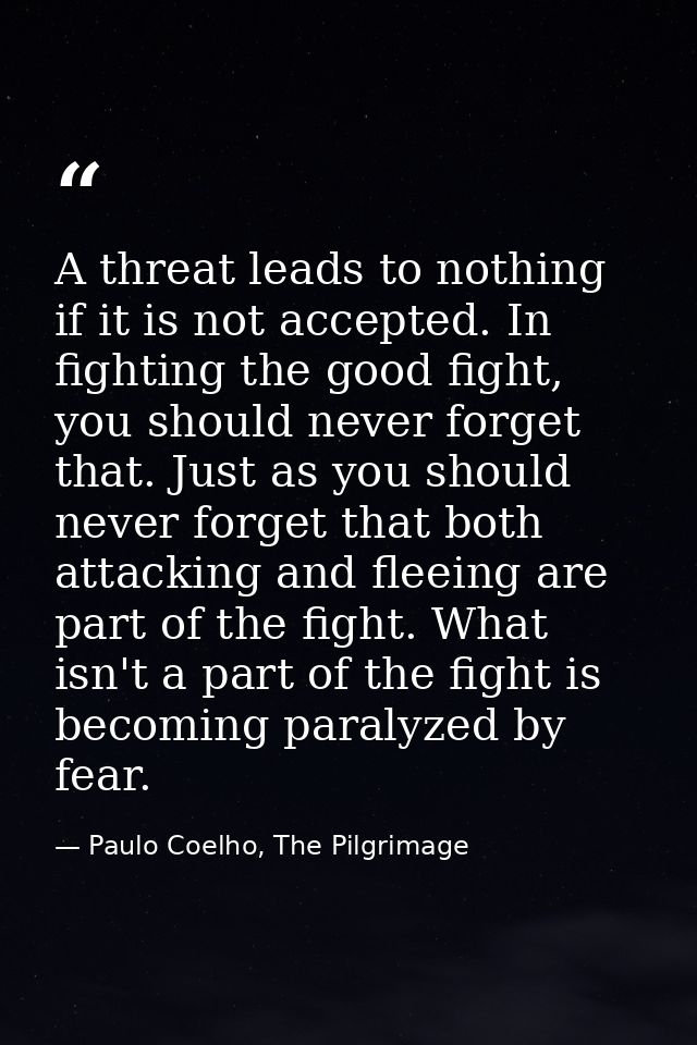 A threat leads to nothing if it is not accepted. In fighting the good fight, you should never forget that. Just as you s — Paulo Coelho, The Pilgrimage