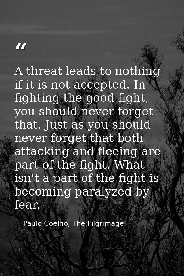 A threat leads to nothing if it is not accepted. In fighting the good fight, you should never forget that. Just as you s — Paulo Coelho, The Pilgrimage