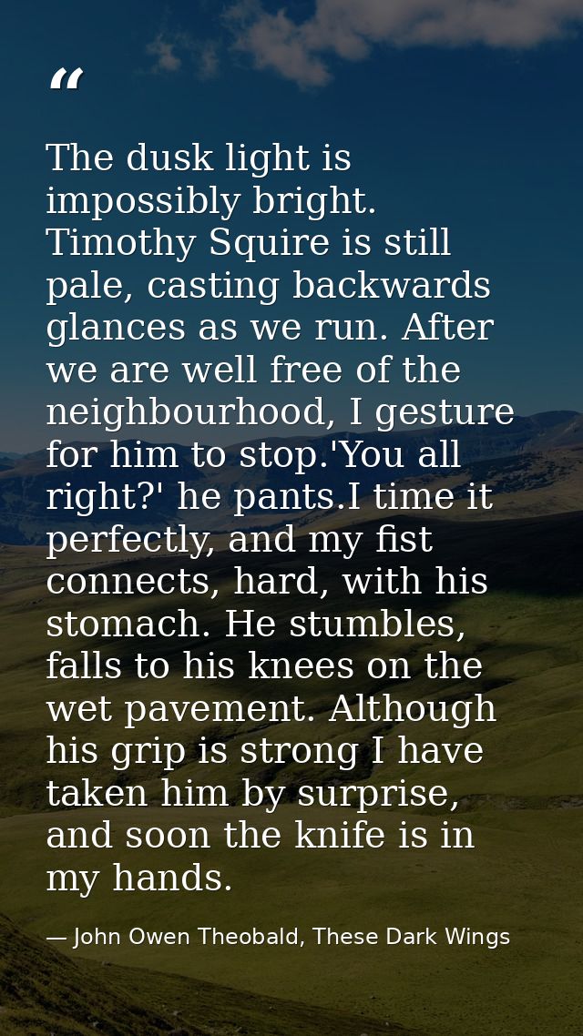 The dusk light is impossibly bright. Timothy Squire is still pale, casting backwards glances as we run. After we are wel — John Owen Theobald, These Dark Wings