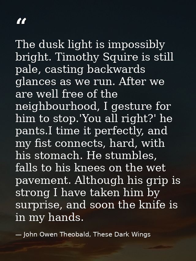 The dusk light is impossibly bright. Timothy Squire is still pale, casting backwards glances as we run. After we are wel — John Owen Theobald, These Dark Wings