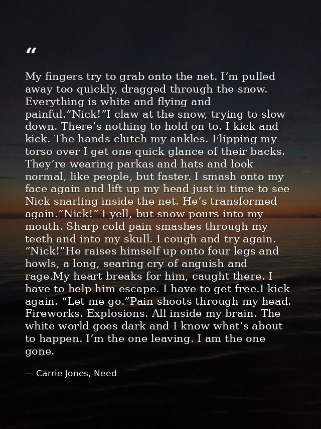 My fingers try to grab onto the net. I’m pulled away too quickly, dragged through the snow. Everything is white and flyi — Carrie Jones, Need