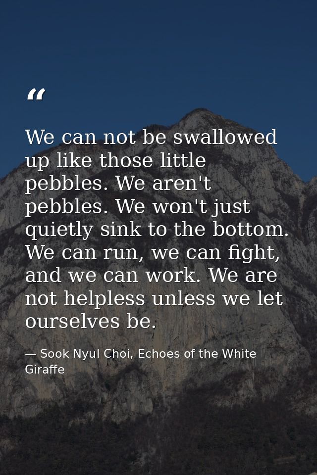 We can not be swallowed up like those little pebbles. We aren't pebbles. We won't just quietly sink to the bottom. We ca — Sook Nyul Choi, Echoes of the White Giraffe
