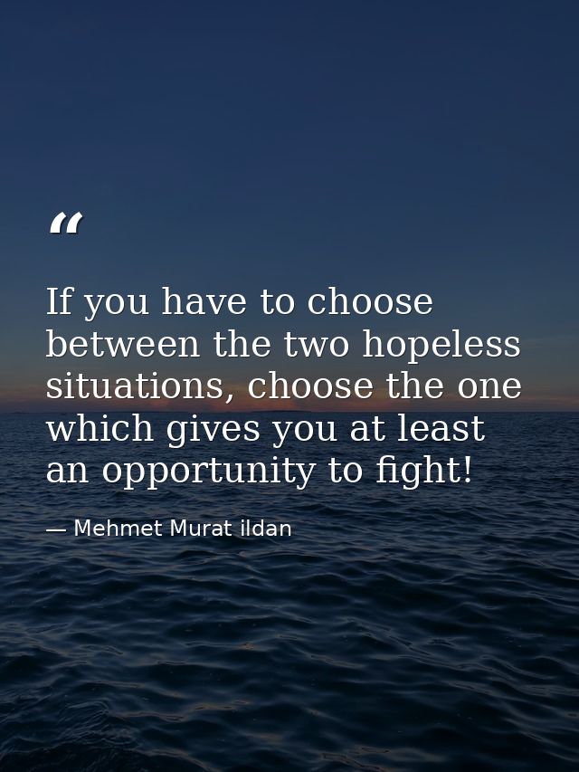 If you have to choose between the two hopeless situations, choose the one which gives you at least an opportunity to fig — Mehmet Murat ildan