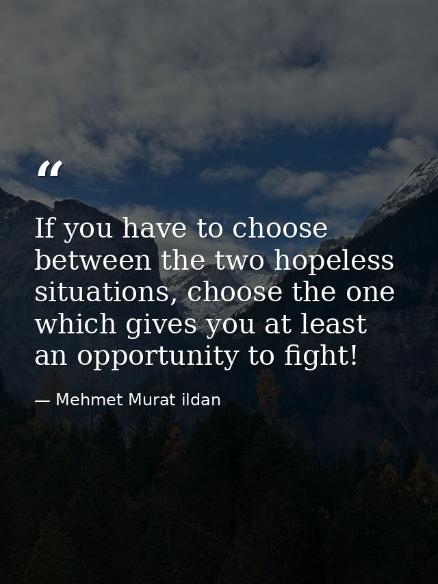 If you have to choose between the two hopeless situations, choose the one which gives you at least an opportunity to fig — Mehmet Murat ildan