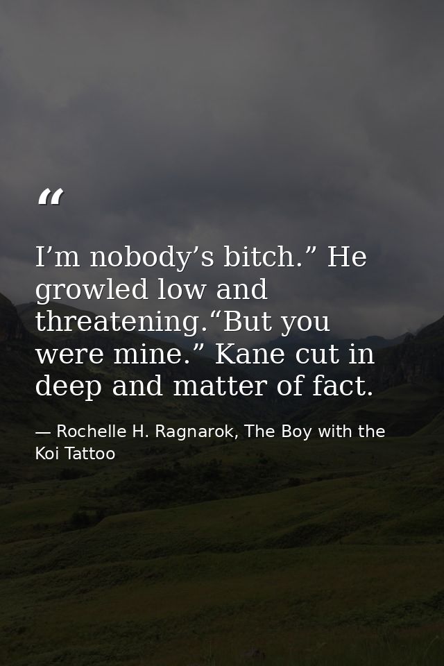 I’m nobody’s bitch.” He growled low and threatening.“But you were mine.” Kane cut in deep and matter of fact. — Rochelle H. Ragnarok, The Boy with the Koi Tattoo