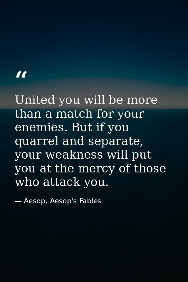 United you will be more than a match for your enemies. But if you quarrel and separate, your weakness will put you at th — Aesop, Aesop's Fables