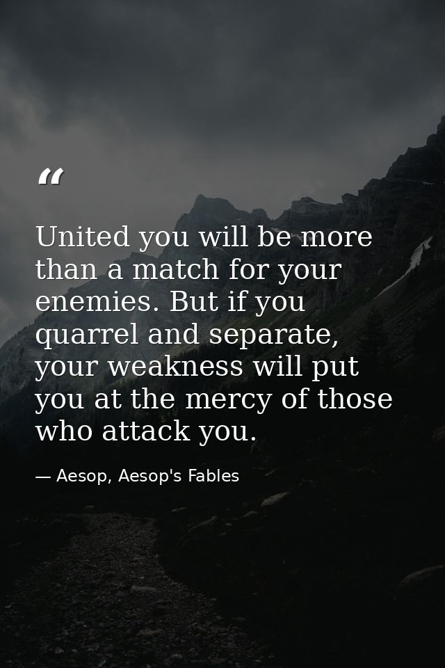 United you will be more than a match for your enemies. But if you quarrel and separate, your weakness will put you at th — Aesop, Aesop's Fables