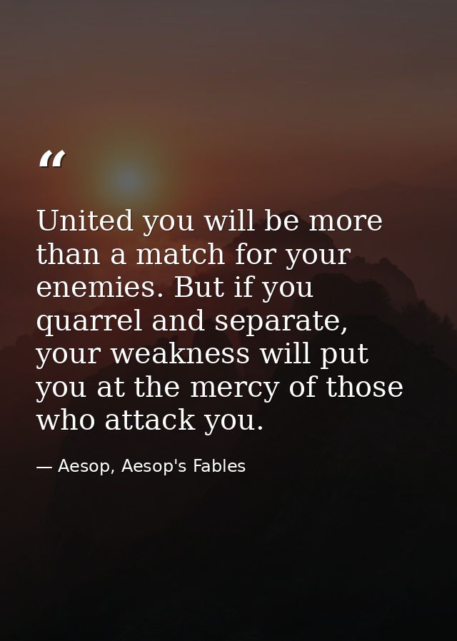 United you will be more than a match for your enemies. But if you quarrel and separate, your weakness will put you at th — Aesop, Aesop's Fables