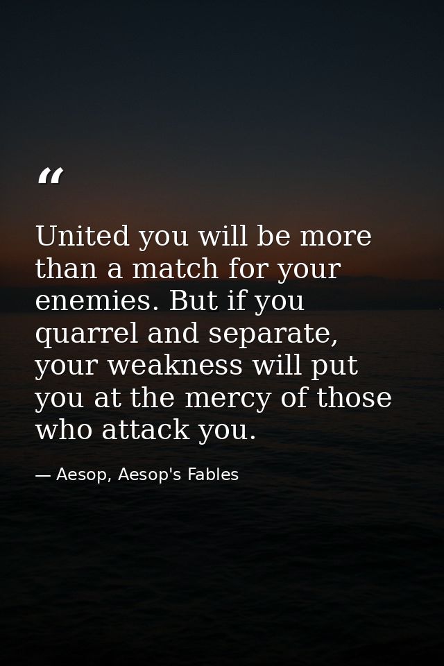 United you will be more than a match for your enemies. But if you quarrel and separate, your weakness will put you at th — Aesop, Aesop's Fables