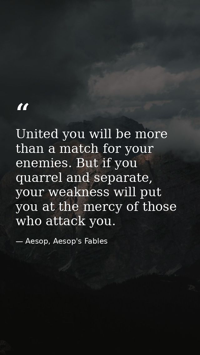 United you will be more than a match for your enemies. But if you quarrel and separate, your weakness will put you at th — Aesop, Aesop's Fables