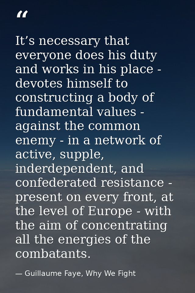 It’s necessary that everyone does his duty and works in his place - devotes himself to constructing a body of fundamenta — Guillaume Faye, Why We Fight