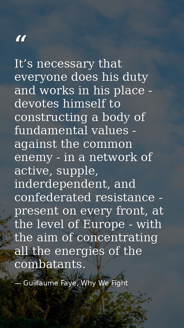 It’s necessary that everyone does his duty and works in his place - devotes himself to constructing a body of fundamenta — Guillaume Faye, Why We Fight