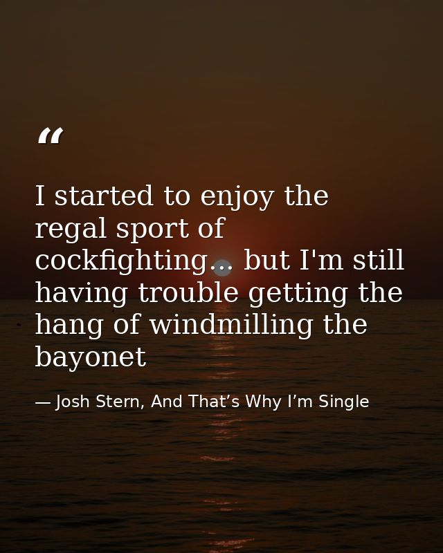 I started to enjoy the regal sport of cockfighting... but I'm still having trouble getting the hang of windmilling the b — Josh Stern, And That’s Why I’m Single