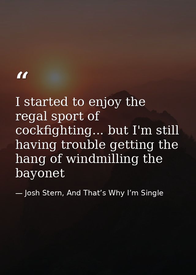 I started to enjoy the regal sport of cockfighting... but I'm still having trouble getting the hang of windmilling the b — Josh Stern, And That’s Why I’m Single