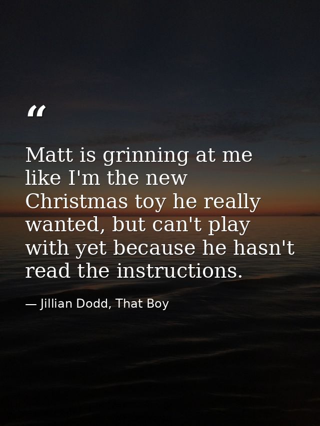 Matt is grinning at me like I'm the new Christmas toy he really wanted, but can't play with yet because he hasn't read t — Jillian Dodd, That Boy