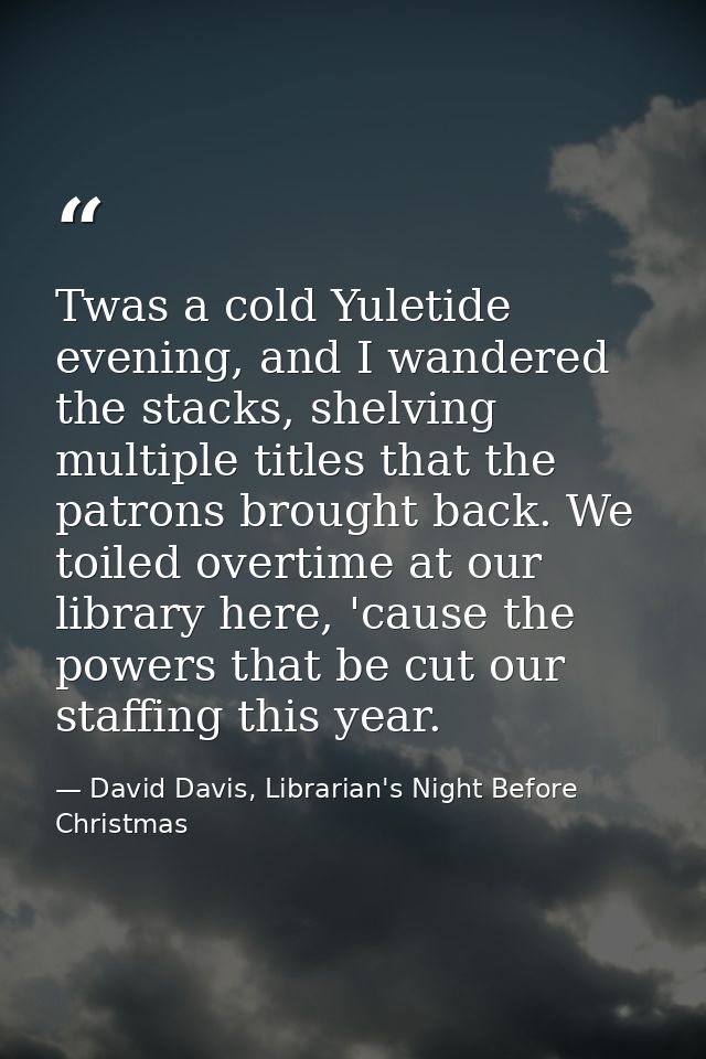 Twas a cold Yuletide evening, and I wandered the stacks, shelving multiple titles that the patrons brought back. We toil — David Davis, Librarian's Night Before Christmas
