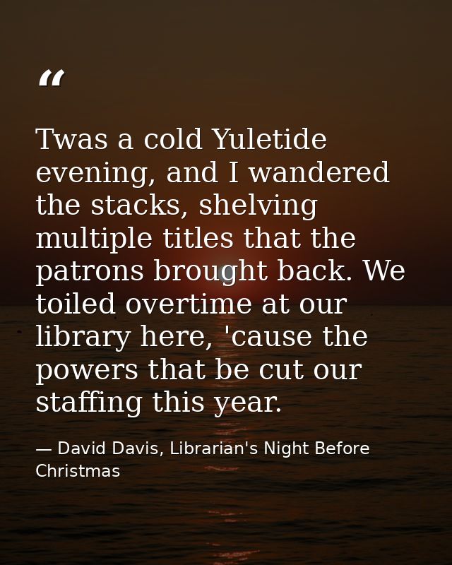 Twas a cold Yuletide evening, and I wandered the stacks, shelving multiple titles that the patrons brought back. We toil — David Davis, Librarian's Night Before Christmas