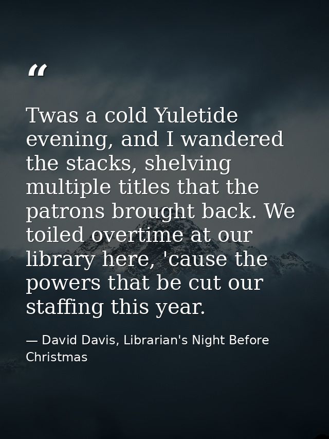 Twas a cold Yuletide evening, and I wandered the stacks, shelving multiple titles that the patrons brought back. We toil — David Davis, Librarian's Night Before Christmas