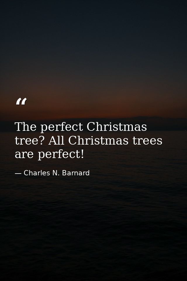The perfect Christmas tree? All Christmas trees are perfect! — Charles N. Barnard