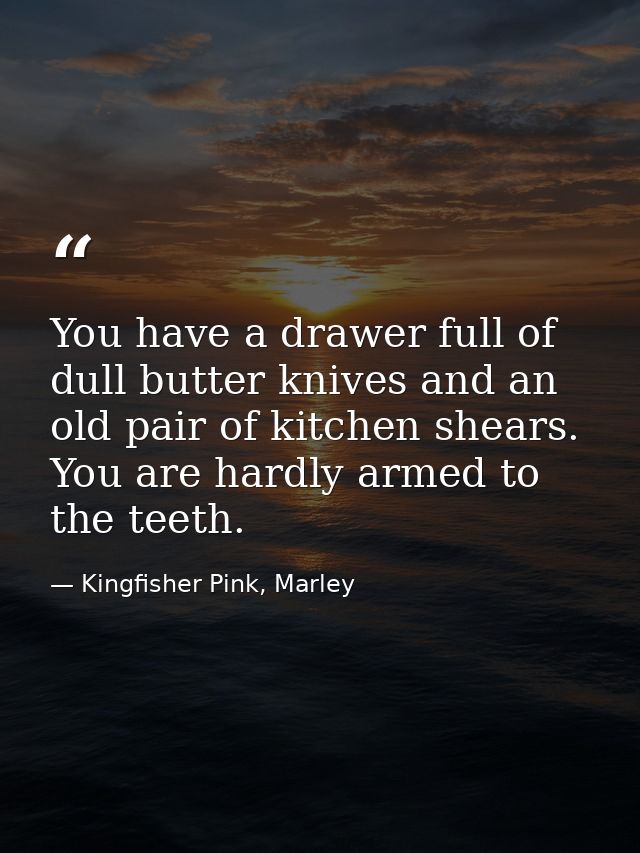 You have a drawer full of dull butter knives and an old pair of kitchen shears. You are hardly armed to the teeth. — Kingfisher Pink, Marley