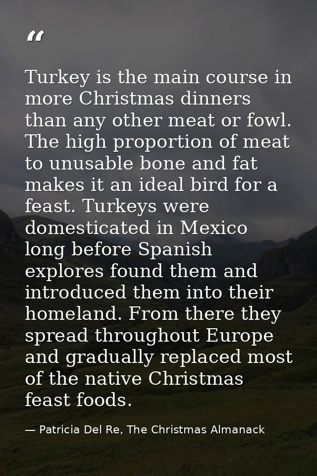 Turkey is the main course in more Christmas dinners than any other meat or fowl. The high proportion of meat to unusable — Patricia Del Re, The Christmas Almanack