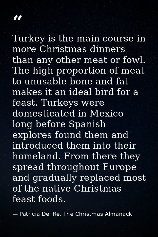 Turkey is the main course in more Christmas dinners than any other meat or fowl. The high proportion of meat to unusable — Patricia Del Re, The Christmas Almanack