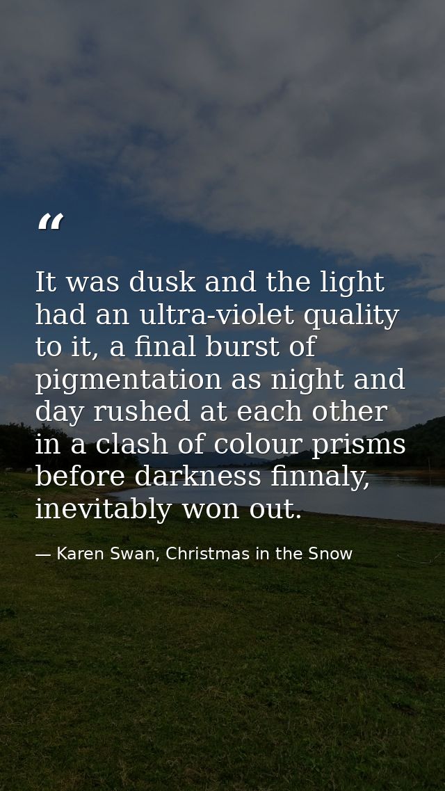 It was dusk and the light had an ultra-violet quality to it, a final burst of pigmentation as night and day rushed at ea — Karen Swan, Christmas in the Snow