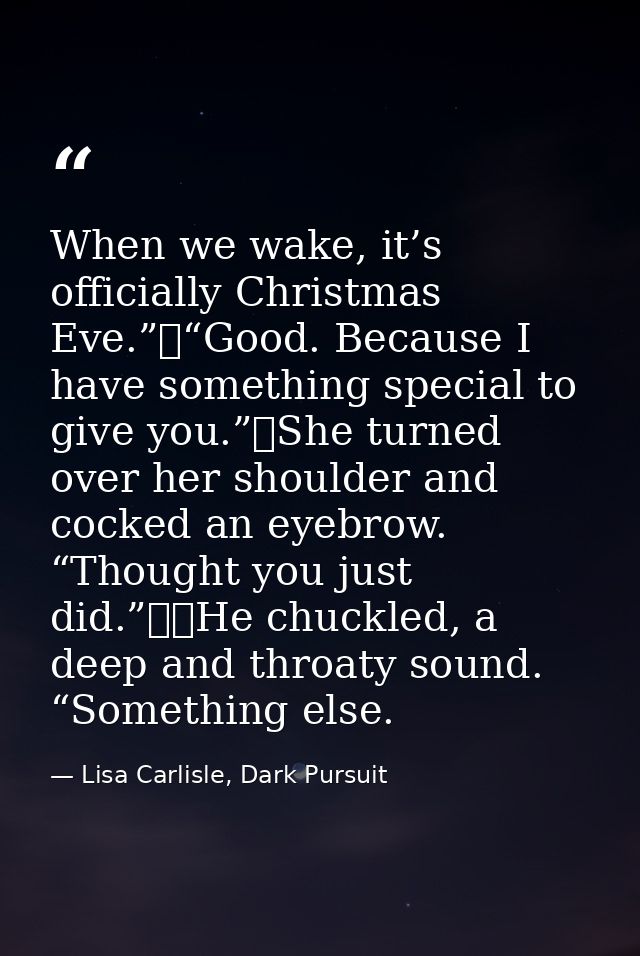 When we wake, it’s officially Christmas Eve.”	“Good. Because I have something special to give you.”	She turned over her  — Lisa Carlisle, Dark Pursuit