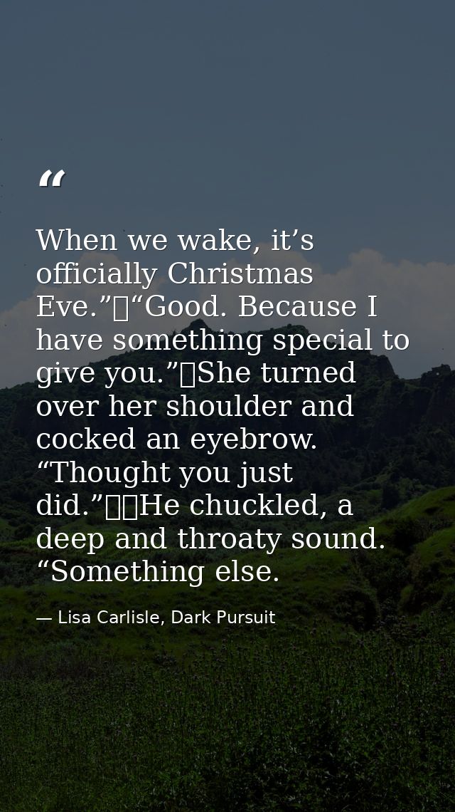 When we wake, it’s officially Christmas Eve.”	“Good. Because I have something special to give you.”	She turned over her  — Lisa Carlisle, Dark Pursuit