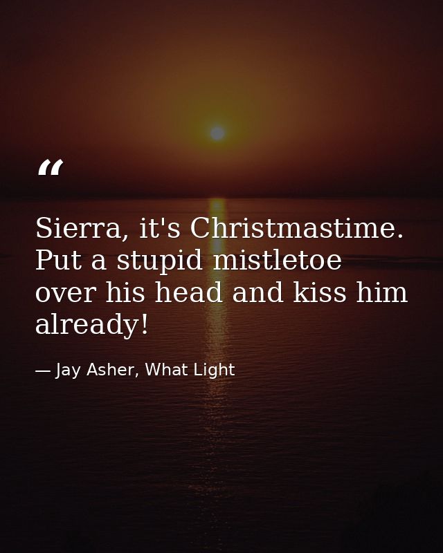 Sierra, it's Christmastime. Put a stupid mistletoe over his head and kiss him already! — Jay Asher, What Light