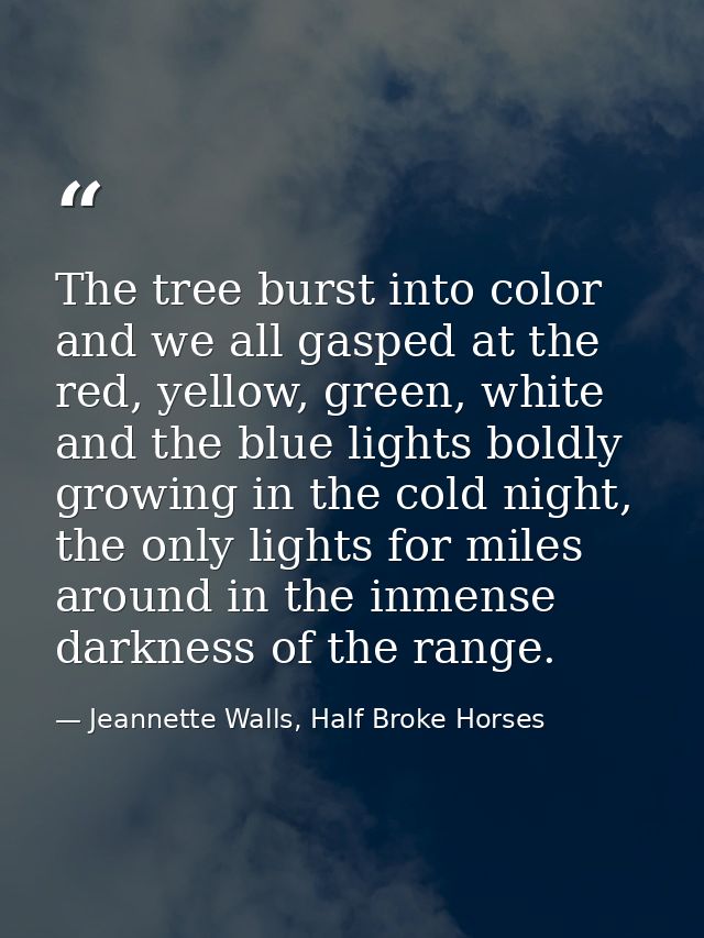 The tree burst into color and we all gasped at the red, yellow, green, white and the blue lights boldly growing in the c — Jeannette Walls, Half Broke Horses