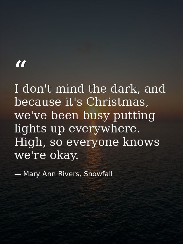 I don't mind the dark, and because it's Christmas, we've been busy putting lights up everywhere. High, so everyone knows — Mary Ann Rivers, Snowfall