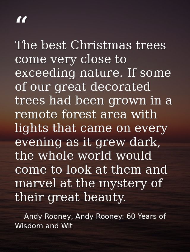 The best Christmas trees come very close to exceeding nature. If some of our great decorated trees had been grown in a r — Andy Rooney, Andy Rooney: 60 Years of Wisdom and Wit