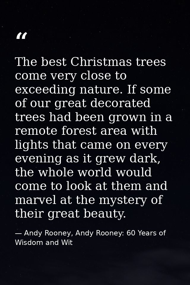 The best Christmas trees come very close to exceeding nature. If some of our great decorated trees had been grown in a r — Andy Rooney, Andy Rooney: 60 Years of Wisdom and Wit