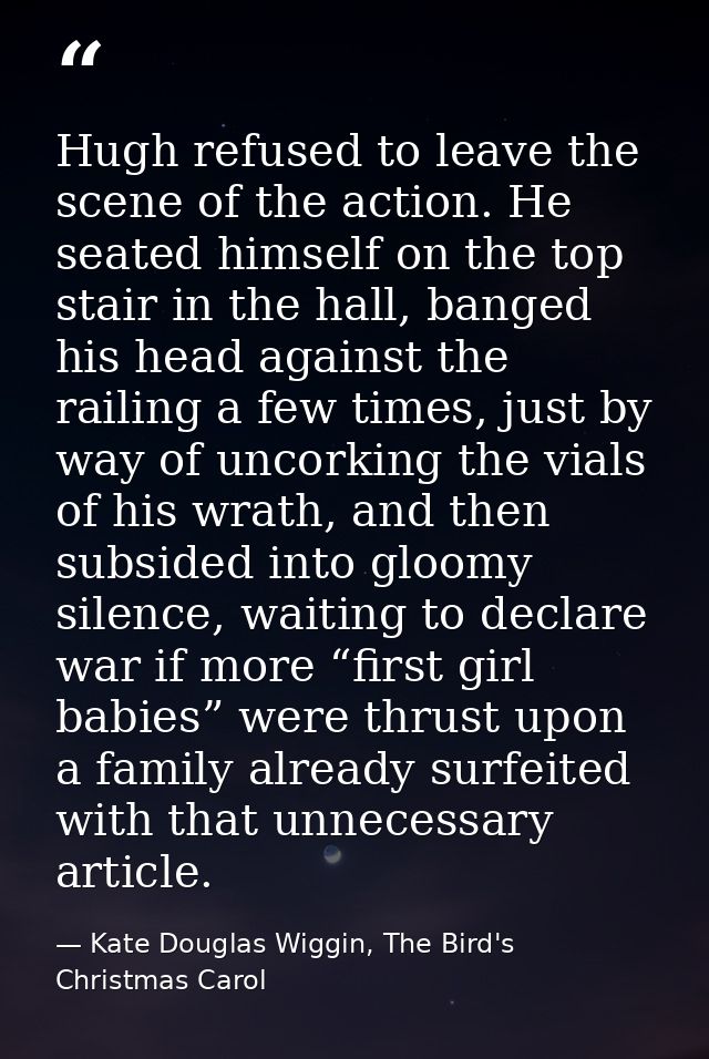 Hugh refused to leave the scene of the action. He seated himself on the top stair in the hall, banged his head against t — Kate Douglas Wiggin, The Bird's Christmas Carol