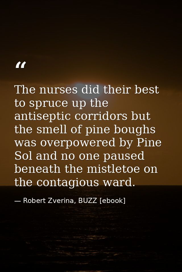 The nurses did their best to spruce up the antiseptic corridors but the smell of pine boughs was overpowered by Pine Sol — Robert Zverina, BUZZ [ebook]