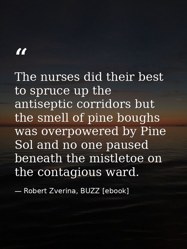 The nurses did their best to spruce up the antiseptic corridors but the smell of pine boughs was overpowered by Pine Sol — Robert Zverina, BUZZ [ebook]