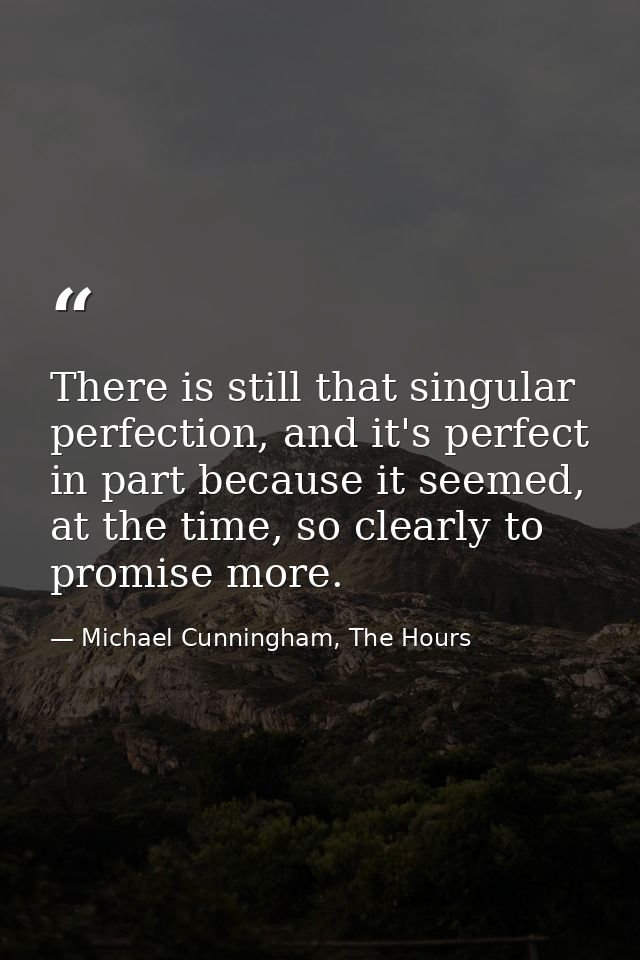 There is still that singular perfection, and it's perfect in part because it seemed, at the time, so clearly to promise  — Michael Cunningham, The Hours