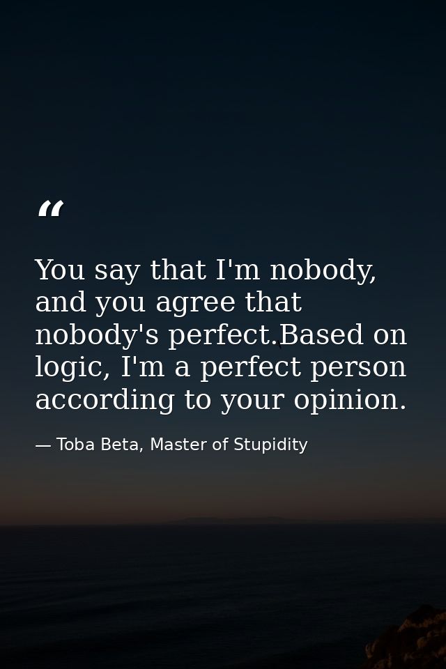You say that I'm nobody, and you agree that nobody's perfect.Based on logic, I'm a perfect person according to your opin — Toba Beta, Master of Stupidity