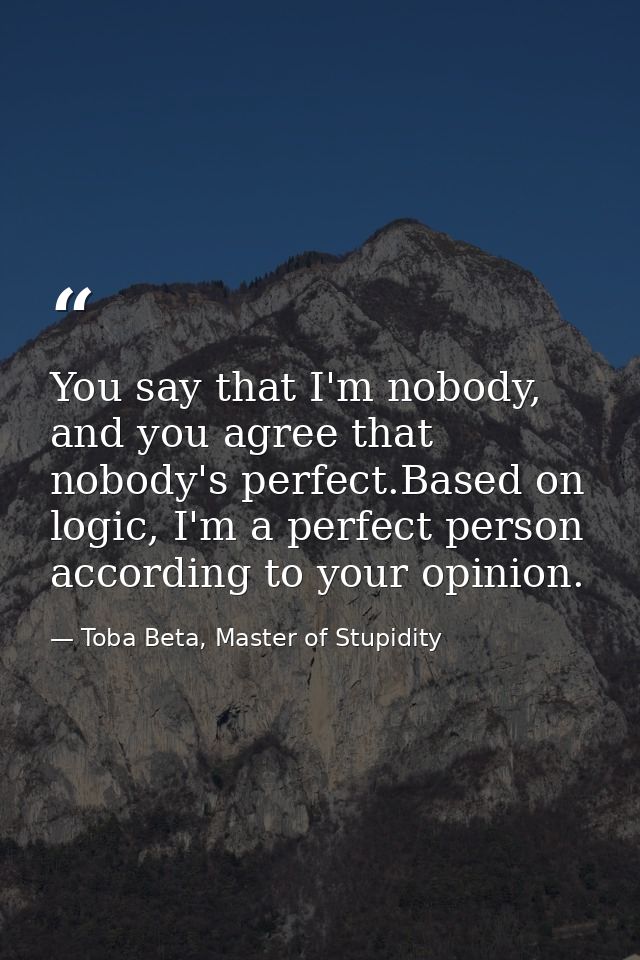 You say that I'm nobody, and you agree that nobody's perfect.Based on logic, I'm a perfect person according to your opin — Toba Beta, Master of Stupidity