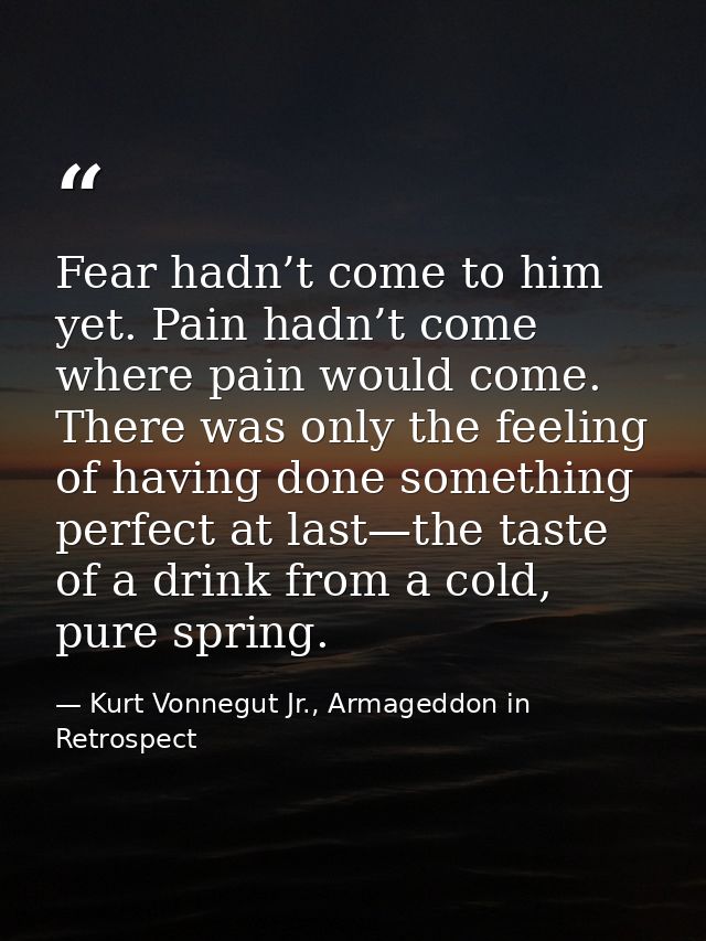 Fear hadn’t come to him yet. Pain hadn’t come where pain would come. There was only the feeling of having done something — Kurt Vonnegut Jr., Armageddon in Retrospect