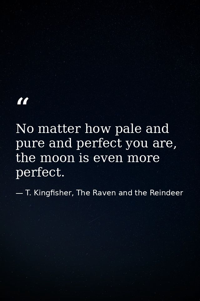 No matter how pale and pure and perfect you are, the moon is even more perfect. — T. Kingfisher, The Raven and the Reindeer