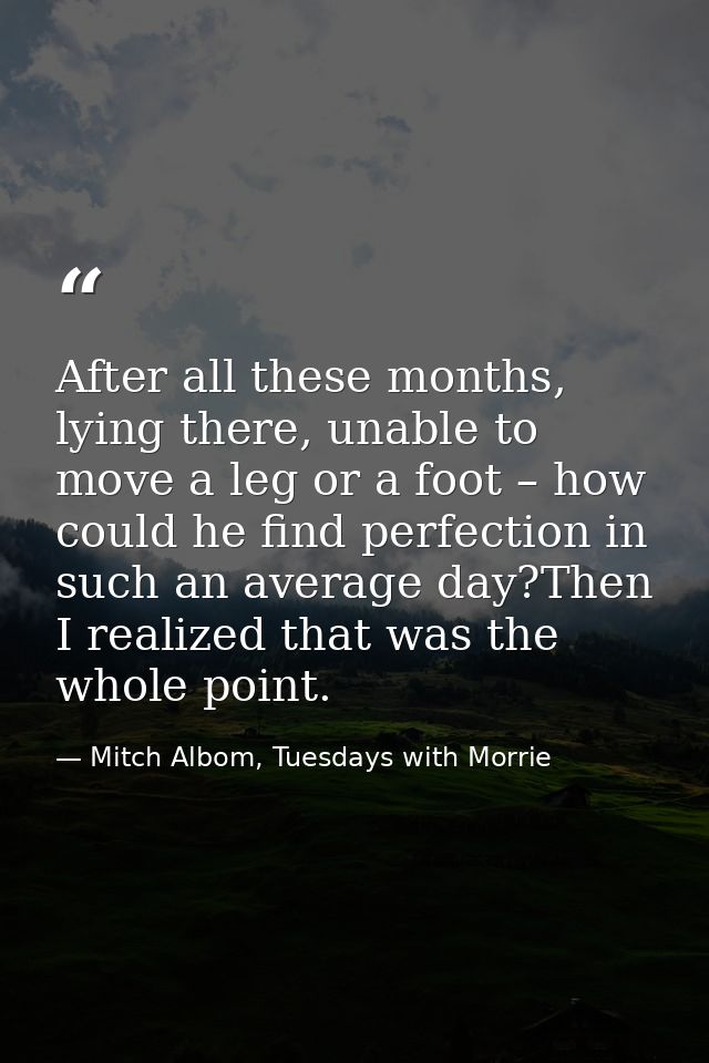 After all these months, lying there, unable to move a leg or a foot – how could he find perfection in such an average da — Mitch Albom, Tuesdays with Morrie