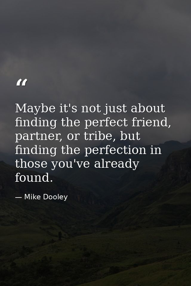 Maybe it's not just about finding the perfect friend, partner, or tribe, but finding the perfection in those you've alre — Mike Dooley