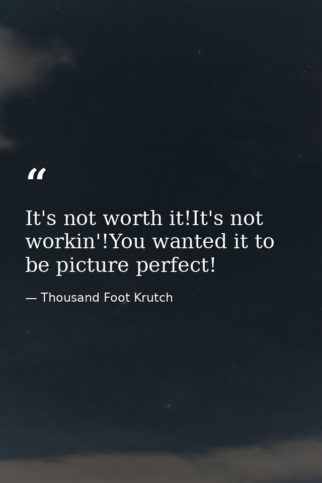 It's not worth it!It's not workin'!You wanted it to be picture perfect! — Thousand Foot Krutch