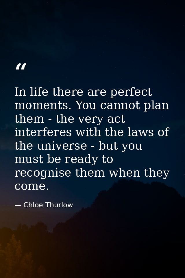 In life there are perfect moments. You cannot plan them - the very act interferes with the laws of the universe - but yo — Chloe Thurlow