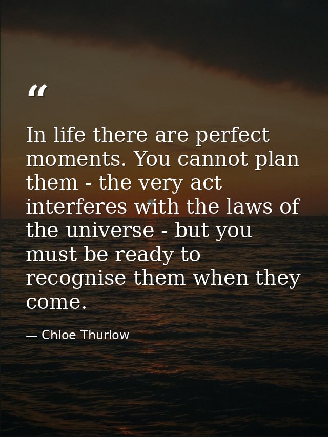 In life there are perfect moments. You cannot plan them - the very act interferes with the laws of the universe - but yo — Chloe Thurlow